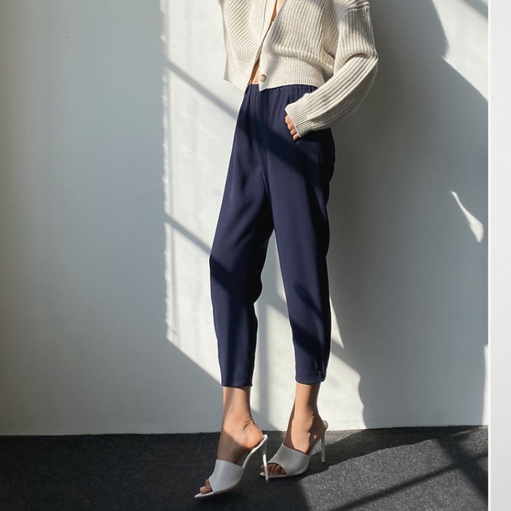 Aritzia Babaton Pants in Navy Blue